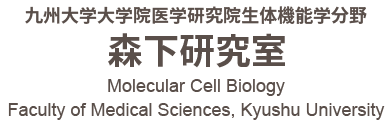 Molecular Cell Biology, Faculty of Medical Sciences, Kyushu University